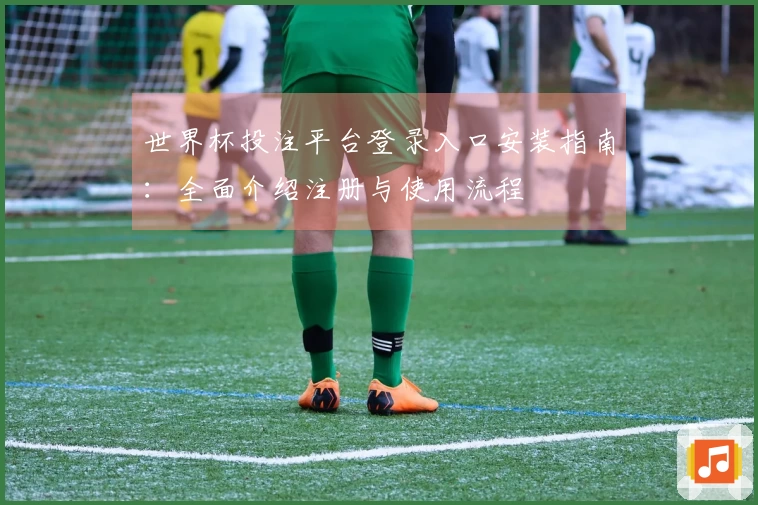 世界杯投注平台登录入口安装指南：全面介绍注册与使用流程