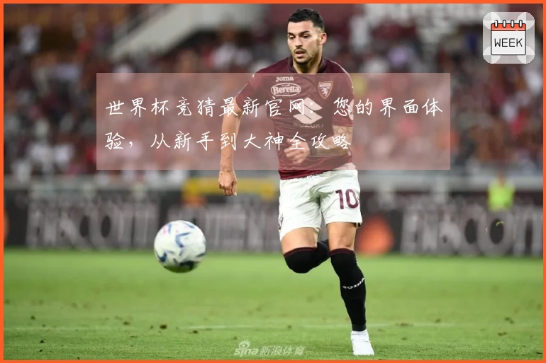 世界杯竞猜最新官网：您的界面体验，从新手到大神全攻略