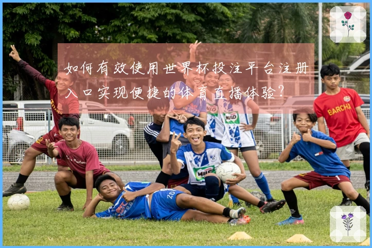 如何有效使用世界杯投注平台注册入口实现便捷的体育直播体验？
