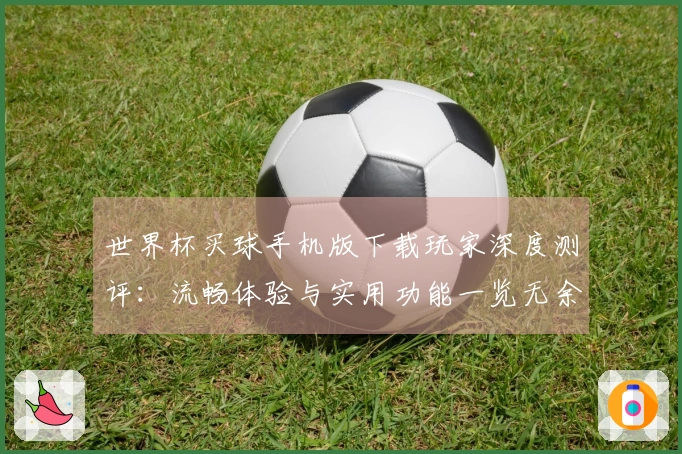 世界杯买球手机版下载玩家深度测评：流畅体验与实用功能一览无余