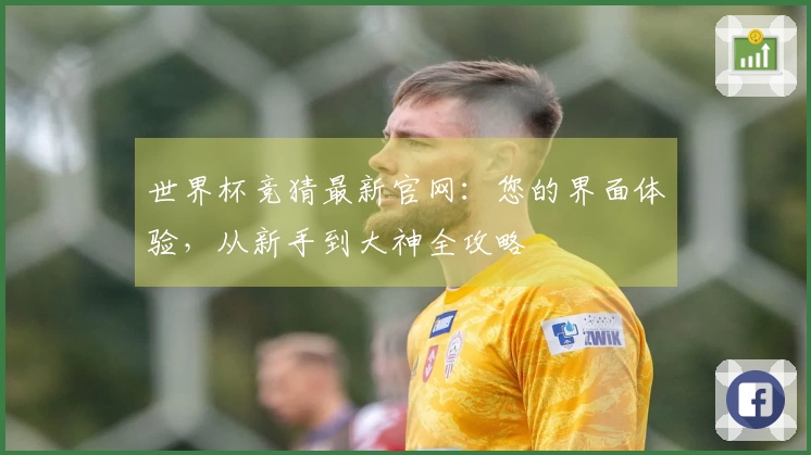 世界杯竞猜最新官网：您的界面体验，从新手到大神全攻略